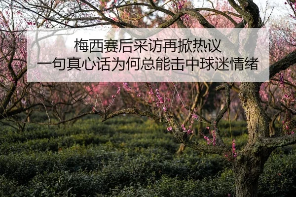 梅西赛后采访再掀热议 一句真心话为何总能击中球迷情绪 - 新闻资讯相关文章缩略图
